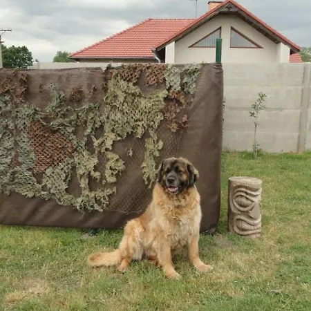 مكان تخييم U Novomlynske Nadrze *
